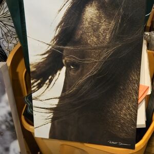 Horse Portrait Canvas Art